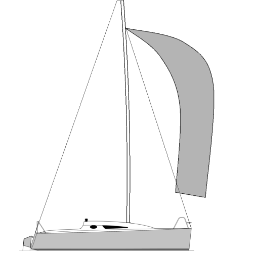 NEO 25 - Vela Balão Triradial (Spinnaker)